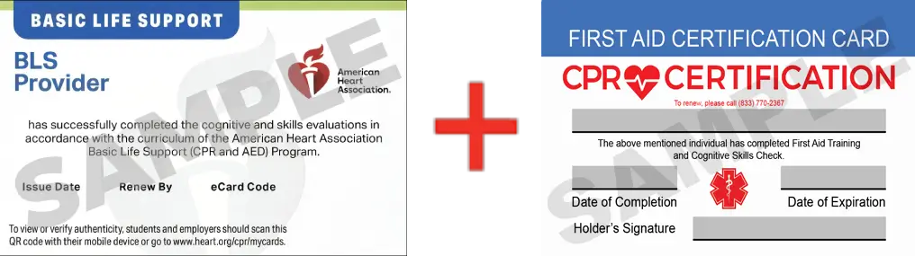 Sample American Heart Association AHA BLS CPR Card Certification and First Aid Certification Card from CPR Certification Allentown