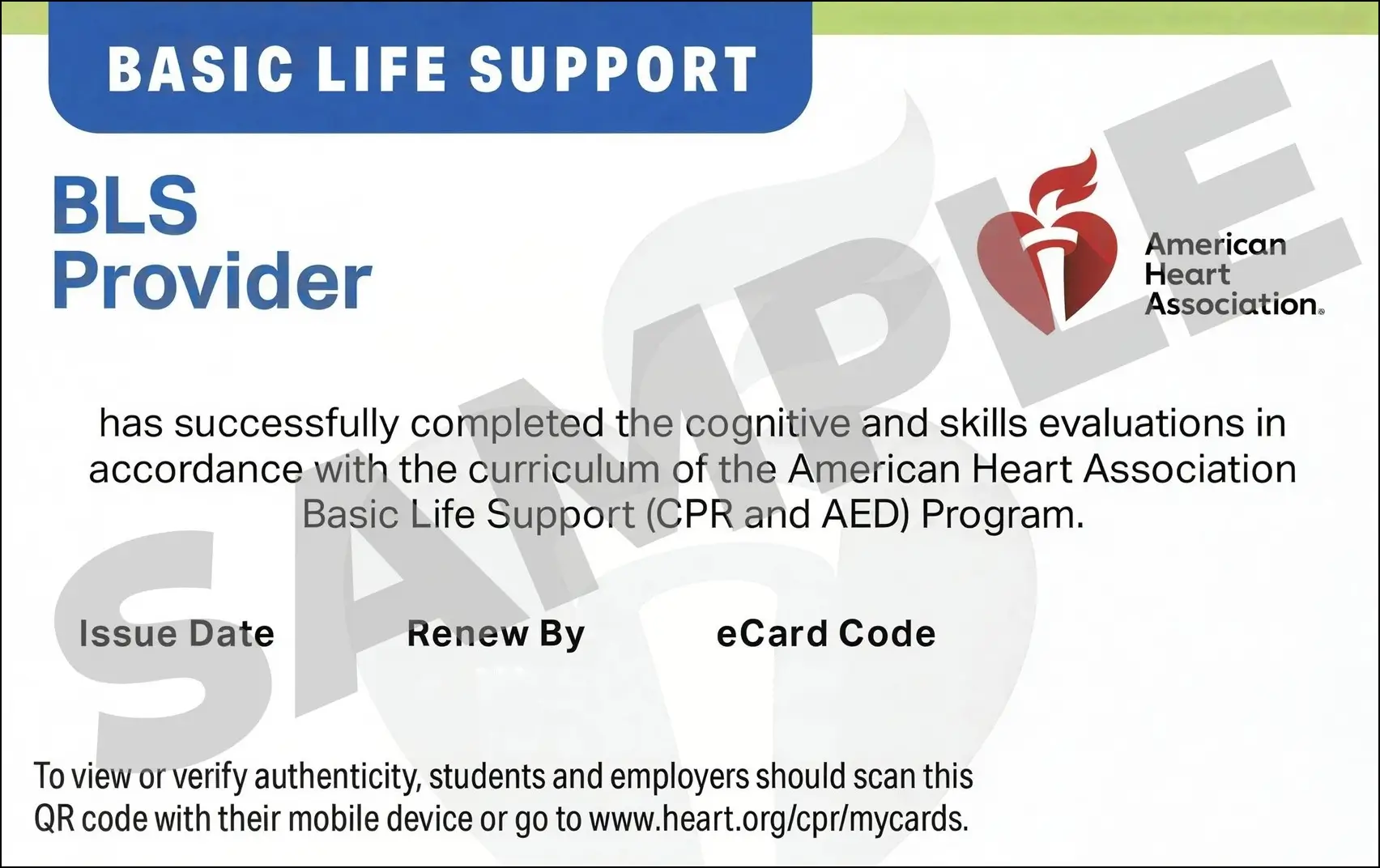 Sample American Heart Association AHA BLS CPR Card Certification from CPR Certification Allentown